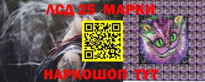 гашик Краснодар