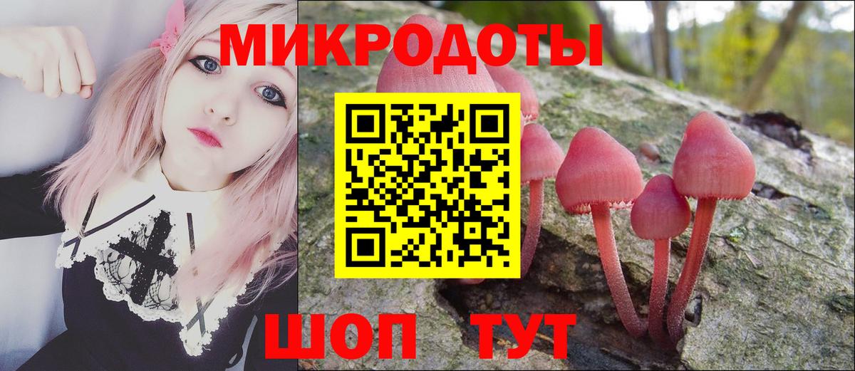 наркота  Вход с VPN  Городец  Галлюциногенные грибы прущие грибы 